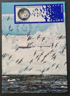 TAAF, T Numéro 519 Oblitéré De Kerguelen Le 14/6/2008 Sur Carte. - Storia Postale