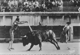 CPSM - CORRIDA DE TOROS - Un Paire De Banderilles Par Firmin ESPINOSA. - Toros