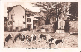 04 Beauvezer Place Hotel Bellevue Chevre Goat - Sonstige & Ohne Zuordnung