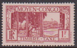 Congo Taxe 31** - Autres & Non Classés