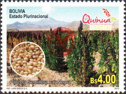 Bolivia 2018 ** CEFIBOL 2392B Issued 2012 ECOBOL Seed Plot (CB 2181) Enabled AgBC. Only 100 Known. - Bolivie