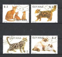 Guyana Guyane 1988 Chats (29) Yvert N° 1769 MJ à 1769 MM Oblitérés - Guyana (1966-...)