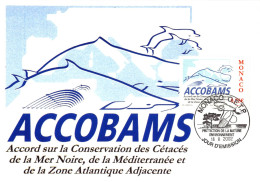 CM CEF - ACCOBAMS (cétacés), Oblit 18/2/02 - Maximum Cards