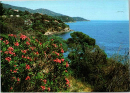 Rivages Fleuris De La Méditerranée.    Carte Façon Toilée - Provence-Alpes-Côte D'Azur