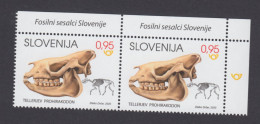 Slovenia 2020 "Mammal Fossils In Slovenia: Prohyracodon Telleri"  Fossil, Prehistoric Animals - Prehistóricos