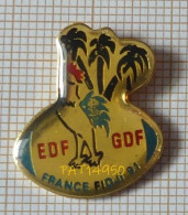 PAT14950 EDF GDF FRANCE FIDJI 91 BALLON DE REUGBY COQ PALMIERS - EDF GDF