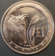 Cyprus 1 Pound, 1995 50th F.A.O. Anniversary KM70 - Cipro