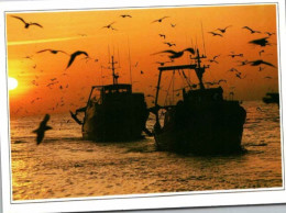 Méditerranée En Languedoc. - Chaluts. Retour De Pêche.   Timbre Non Oblitéré - Languedoc-Roussillon