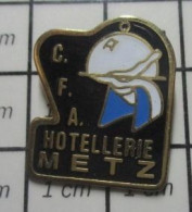 615A Pin's Pins / Beau Et Rare / MARQUES / CFA HOTELLERIE METZ CENTRE DE FORMATION DES APPRENTIS - Bebidas