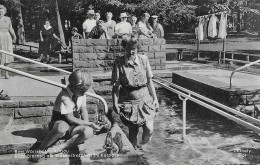 ALLEMAGNE,GERMANY,DEUTSCH LAND,BAVIERE,bad Worishofen Allgau Eichhornchen Am Wassertretplatz Im Kurpark - Andere & Zonder Classificatie