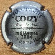 Capsule Champagne COIZY Père & Fils Série Millésime 2004 Gris Foncé Nr 10e - Otros & Sin Clasificación