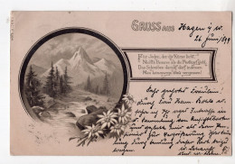 132 - Gruss Aus HAGEN *1899* - Hagen