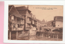 SALIES DE BEARN VUE SUR LE SALEYS LA CHUTE D'EAU - Salies De Bearn