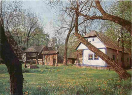 Roumanie - Le Musée Du Village Et D'Art Populaire - Cimpani De Sus - XIXe S - CPM - Voir Scans Recto-Verso - Roumanie