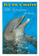 Animaux - Dauphin - Dolphin - Carte à Message - CPM - Carte Neuve - Voir Scans Recto-Verso - Delfini