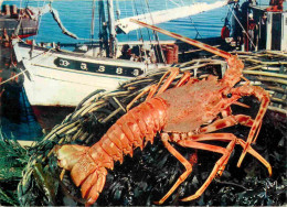 Animaux - Langouste - CPM - Voir Scans Recto-Verso - Poissons Et Crustacés