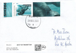 Nederland Netherlands 2023 Houten Blunt-snouted Dolphin Platalearostrum Hoekmani Pilot Whale Prehistory Cover - Delfine