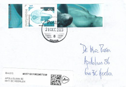 Nederland Netherlands 2023 Houten Blunt-snouted Dolphin Platalearostrum Hoekmani Pilot Whale Prehistory Cover - Baleines