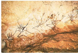 24   MONTIGNAC GROTTE DE LASCAUX  FRISE DE CERFS - Montignac-sur-Vézère