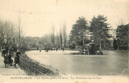 MONTELIMAR . Le Jardin Public En Hiver . Les Patineurs Sur Le Lac . CPA Animée - Montelimar