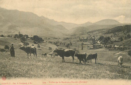 Vallée De SAINT MARTIN EN VERCORS - Altri & Non Classificati