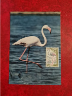 Carte Fdc Maxi 1970 PARIS  ANNEE EUROPEENNE DE LA NATURE FLAMANT ROSE - 1970-1979