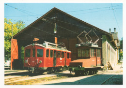 AUTOMOTRICE ABFe 2/3 12 ET TRACTEUR Te 2/2 81 DEVANT LE DÉPÔT DE VEVEY - Treni