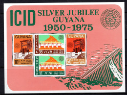 Guyana 1975 Silver Jubilee Of International Comission On Irrigation MS MNH (SG MS629) - Guyana (1966-...)