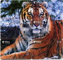 Puzzle Tigre Animal 6 Télécartes Chine  Phonecard  Telefonkarte (P 91) - Chine