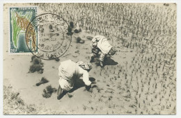 Maximum Card Malagasy 1960 Rice - Landwirtschaft