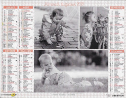 Calendrier Du Facteur 69 Rhone 2021 - Grossformat : 2001-...