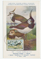 Maximum Card France 1960 Bird - Lapwing - Peewit - Other & Unclassified