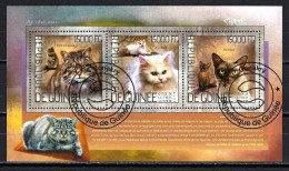 Chats Guinée 2014 (32) Yvert N° 7166 à 7168 Oblitérés - Domestic Cats