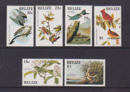 BELIZE    1985    Bird  Paintings    Part  Set  Of  6    MNH - Belize (1973-...)