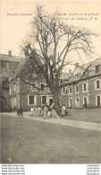 HAM ARBRE DE LA LIBERTE DANS LA COUR DU CHATEAU - Ham