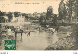 BEAUMONT DE LOMAGNE ABREUVOIR - Beaumont De Lomagne