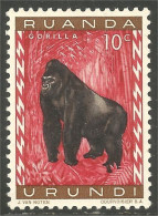 770 Ruanda Singe Monkey Affe Scimmia Gorille Gorilla Aap Mono MH * Neuf (RUA-43b) - Scimmie