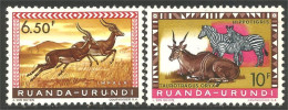 770 Ruanda Urundi Buffle Buffalo Antilope Antelope Zèbre Zebra MH * Neuf (RUA-38) - Other & Unclassified
