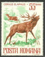 766 Roumanie Cervo Cerf Chevreuil Deer Hirsch MNH ** Neuf SC (ROU-340) - Other & Unclassified