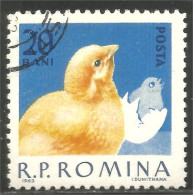 766 Roumanie Coq Rooster Hahn Haan Gallo Poule Hen Huhn Poussin Chicken (ROU-292) - Hoendervogels & Fazanten