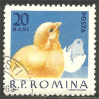 766 Roumanie Coq Rooster Hahn Haan Gallo Poule Hen Huhn Poussin Chicken (ROU-293) - Gallinacées & Faisans