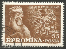 766 Roumanie Coq Rooster Hahn Haan Gallo Poule Hen Huhn (ROU-290) - Galline & Gallinaceo