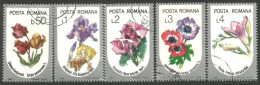 766 Roumanie Fleurs Tulipe Iris Rose Anemone Freesia Chrysanthème (ROU-247) - Other & Unclassified