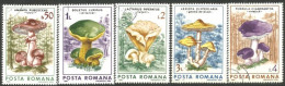 766 Roumanie Champignons Mushrooms Bolet Lépiote Russule MNH ** Neuf SC (ROU-249) - Paddestoelen