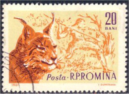 766 Roumanie Lynx (ROU-101) - Big Cats (cats Of Prey)