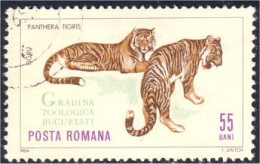 766 Roumanie Tigre Tiger Tigger (ROU-104) - Big Cats (cats Of Prey)