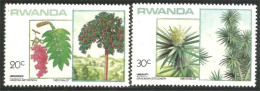 777 Rwanda Arbre Tree Baum MNH ** Neuf SC (RWA-264) - Bomen