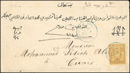 Obl. 92 - SMYRNE. 25c. Sage Obl. S/lettre Frappée Du CàD Bleu De SMYRNE - TURQUIE Du 7 Juillet 1880 à Destination De TUN - 1849-1876: Periodo Clásico