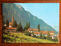 TRENTINO ALTO ADIGE -BOLZANO -PINZON PINZANO MAONTAGNA EGNA -F.G. - Bolzano (Bozen)