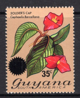 Guyana 1976 Surcharge - 35c On 60c Soldier's Cap MNH (SG 649) - Guyana (1966-...)